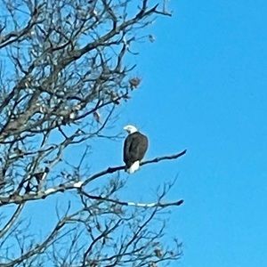 Meet your Posher, Doug